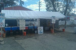 Florida Jacksonville Skippy's Shrimp Shack photo 5