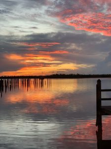 Florida Naples Blue Heron Restaurant photo 5