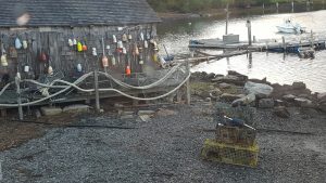 Maine Sanford Cape Neddick Lobster Pound photo 5