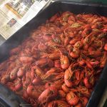 Louisiana New Orleans Jefferson Seafood Shack photo 1