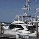 Delaware Selbyville Seawitch Sportfishing photo 1