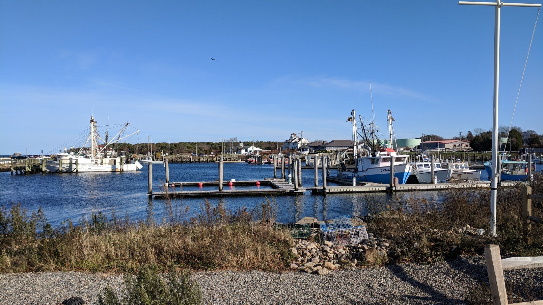 Massachusetts Plymouth Eastwind Seafood and Fish Market photo 7