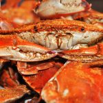 Florida Saint Augustine Blue Crab Ranch photo 1