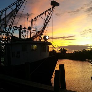 Louisiana Hammond C&R SEAFOOD LOUISIANA SHRIMP COMPANY LLC photo 7