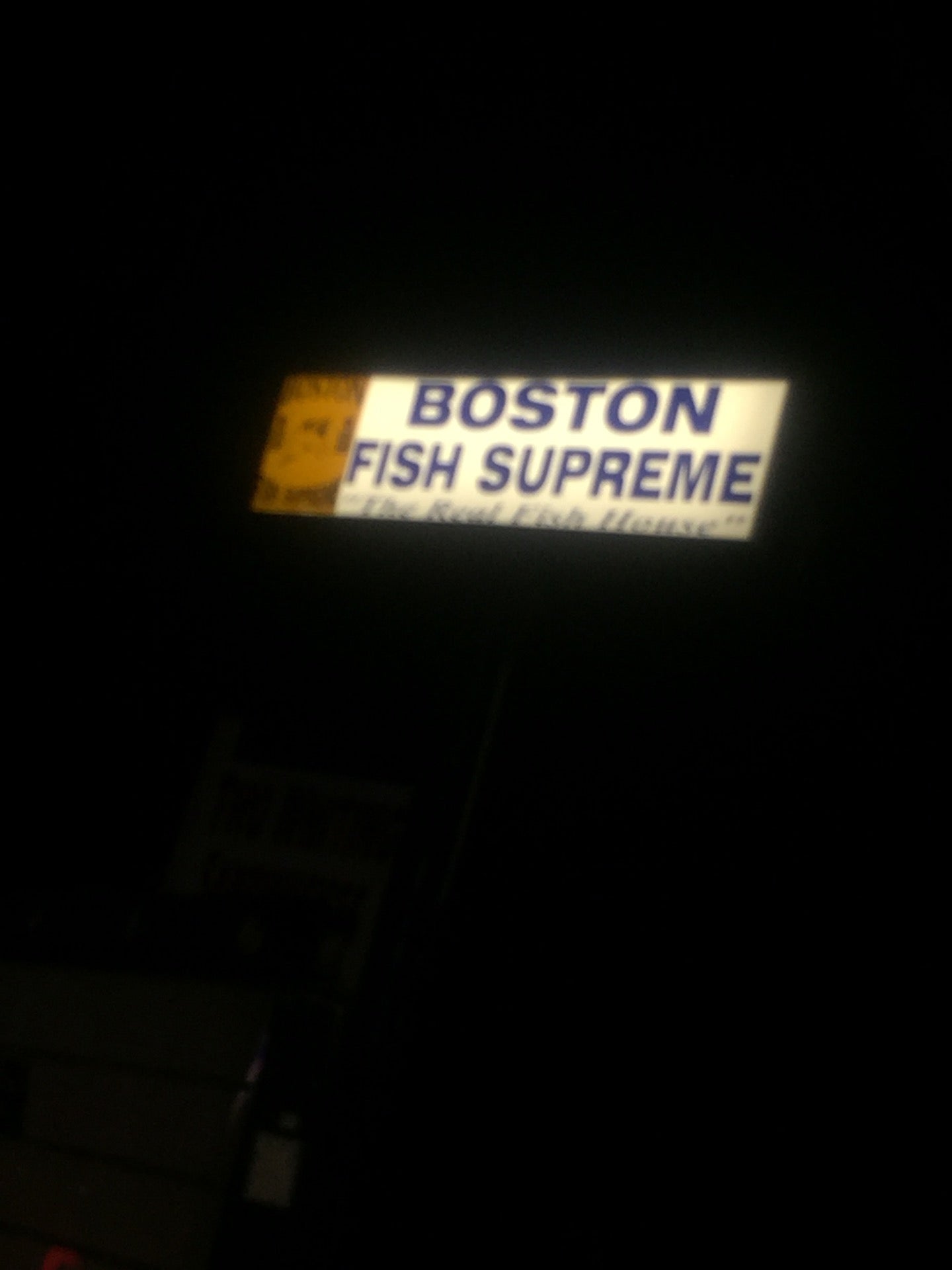 Georgia Atlanta Boston Fish Supreme photo 5