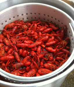 Louisiana Mandeville The Crab Man Plus photo 5