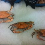 Maryland Westminster Blue Point Crab House Inc photo 1