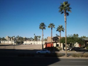 Arizona Tempe Pete's Fish & Chips photo 5