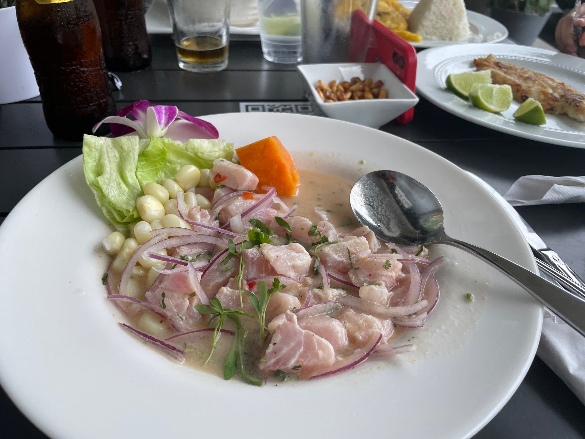 Florida Hollywood Oh Ceviche photo 3