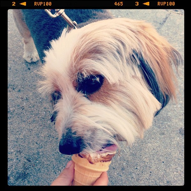 Delaware Bethany Beach Dickey's Frozen Custard photo 7