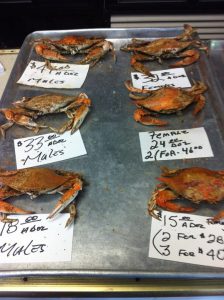 Maryland Baltimore Waverly Crabs photo 7