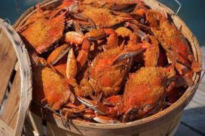 Maryland Prince Frederick Abners Crab House photo 5