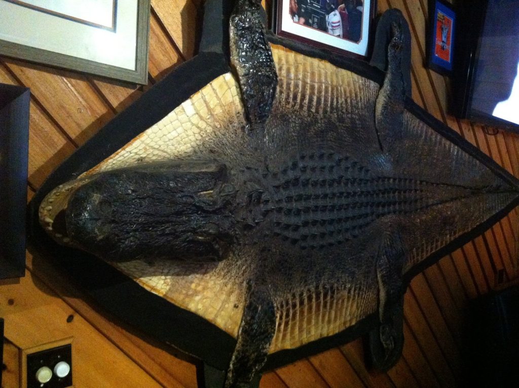 Florida Gainesville Blue Water Bay Restaurant photo 3