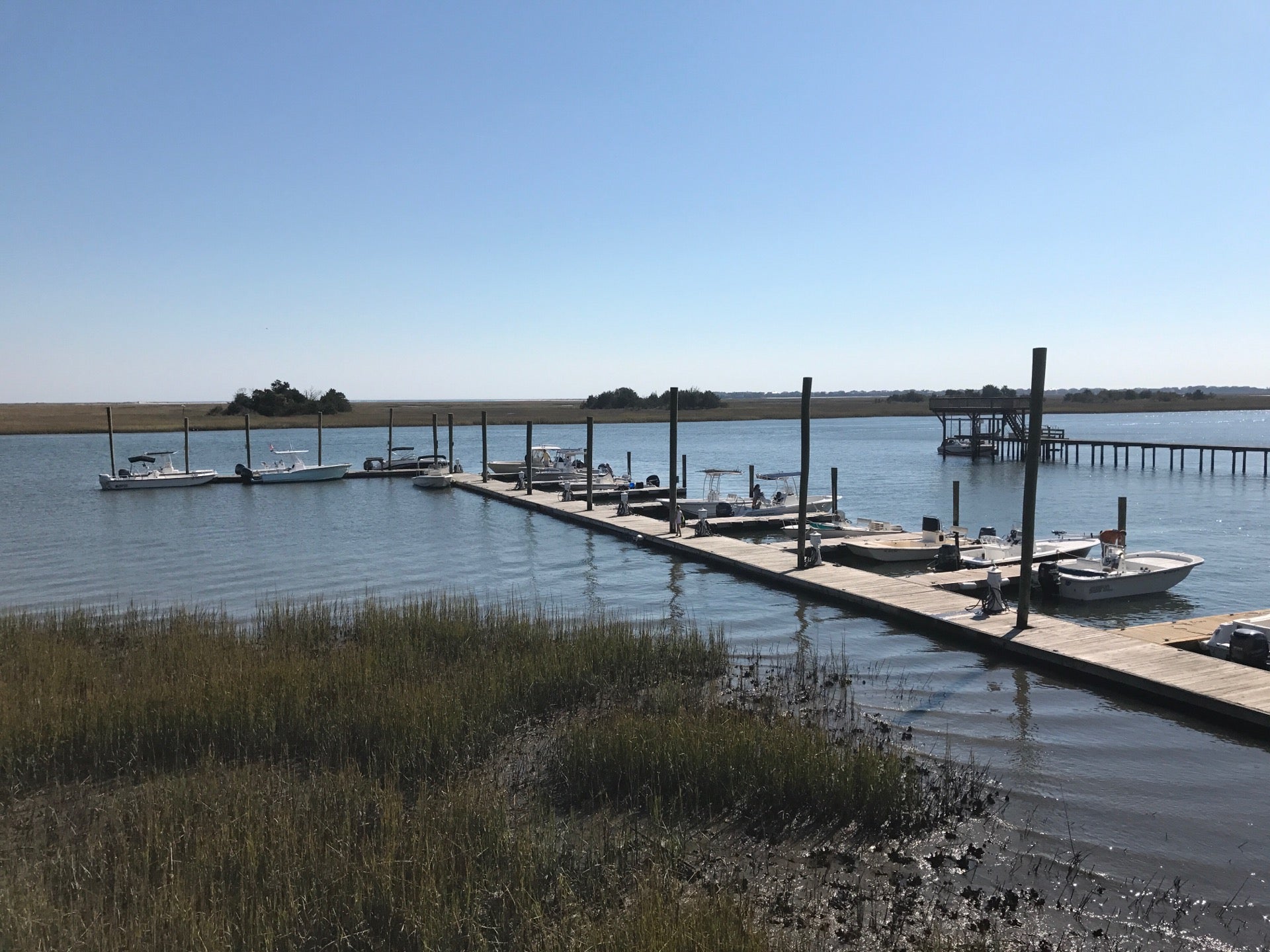 North Carolina Wilmington The Sailfish Restaurant photo 3