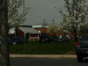 Michigan Port Huron Red Lobster photo 7