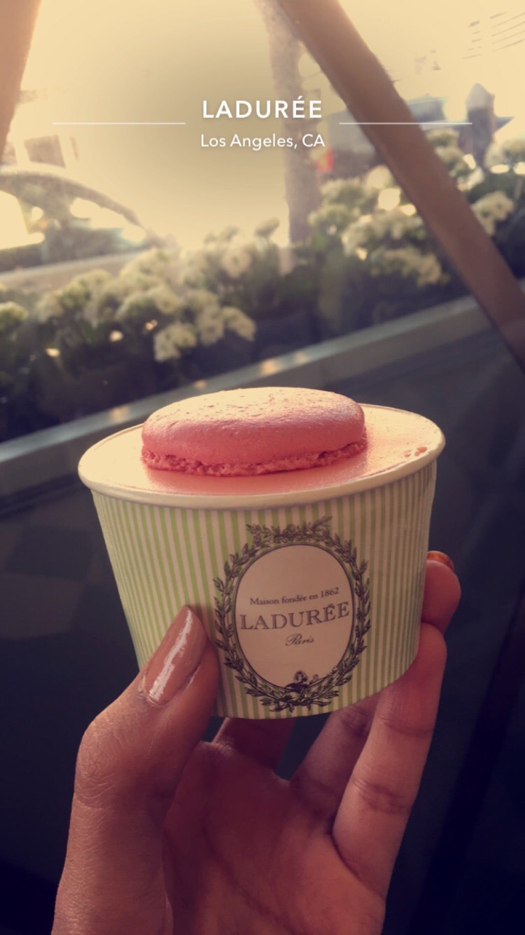 California Los Angeles Ladurée The Grove photo 5