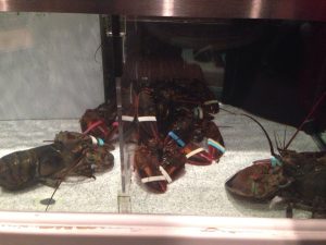 Arizona Prescott Valley Red Lobster photo 7