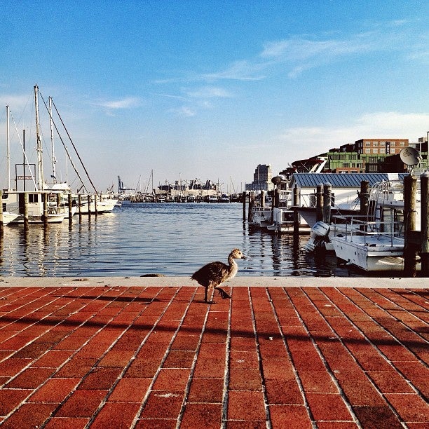 Maryland Baltimore Captain James Landing photo 5