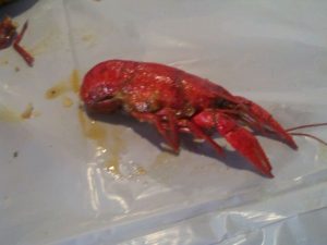 Florida Orlando Hot & Juicy Crawfish photo 7