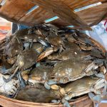 New Jersey Edison East Brunswick Seafood & Fish Market photo 1