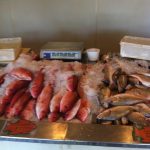 North Carolina Raleigh Capital Seafood Market photo 1