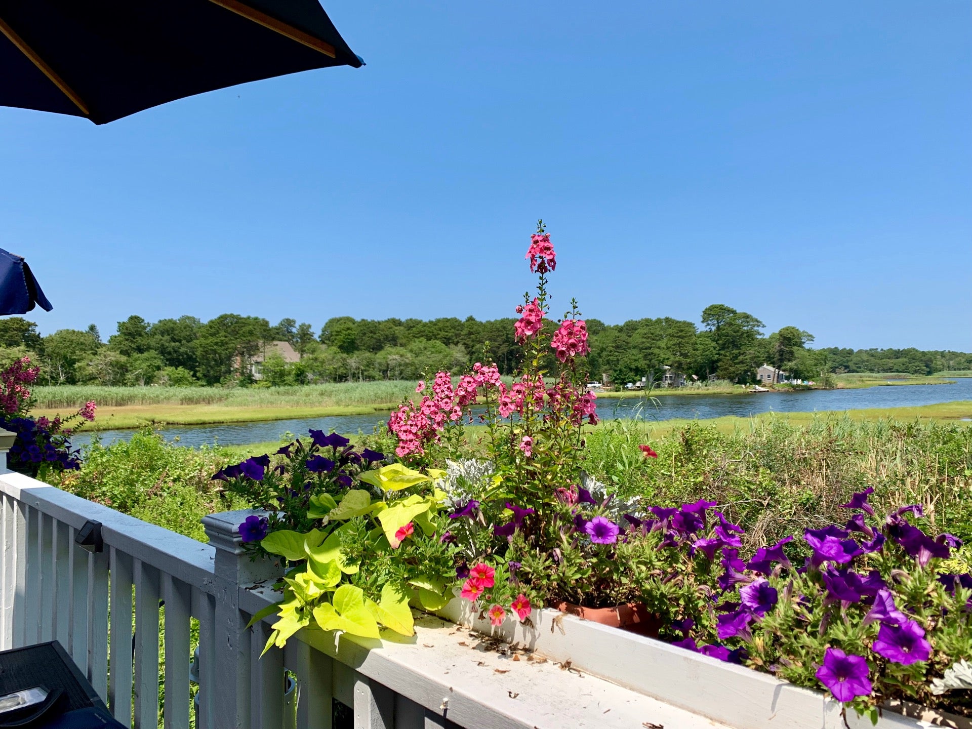 Massachusetts Hyannis Clancy's Restaurant photo 7