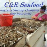 Louisiana Hammond C&R SEAFOOD LOUISIANA SHRIMP COMPANY LLC photo 1