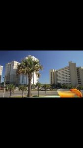 Alabama Orange Beach The Jellyfish photo 7