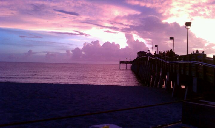 Florida Venice Sharky's On the Pier photo 7