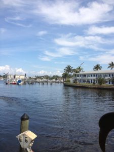 Florida Stuart Shrimpers Grill & Raw Bar photo 7