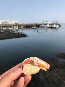 Maine Rockland The Lobster Shack photo 5