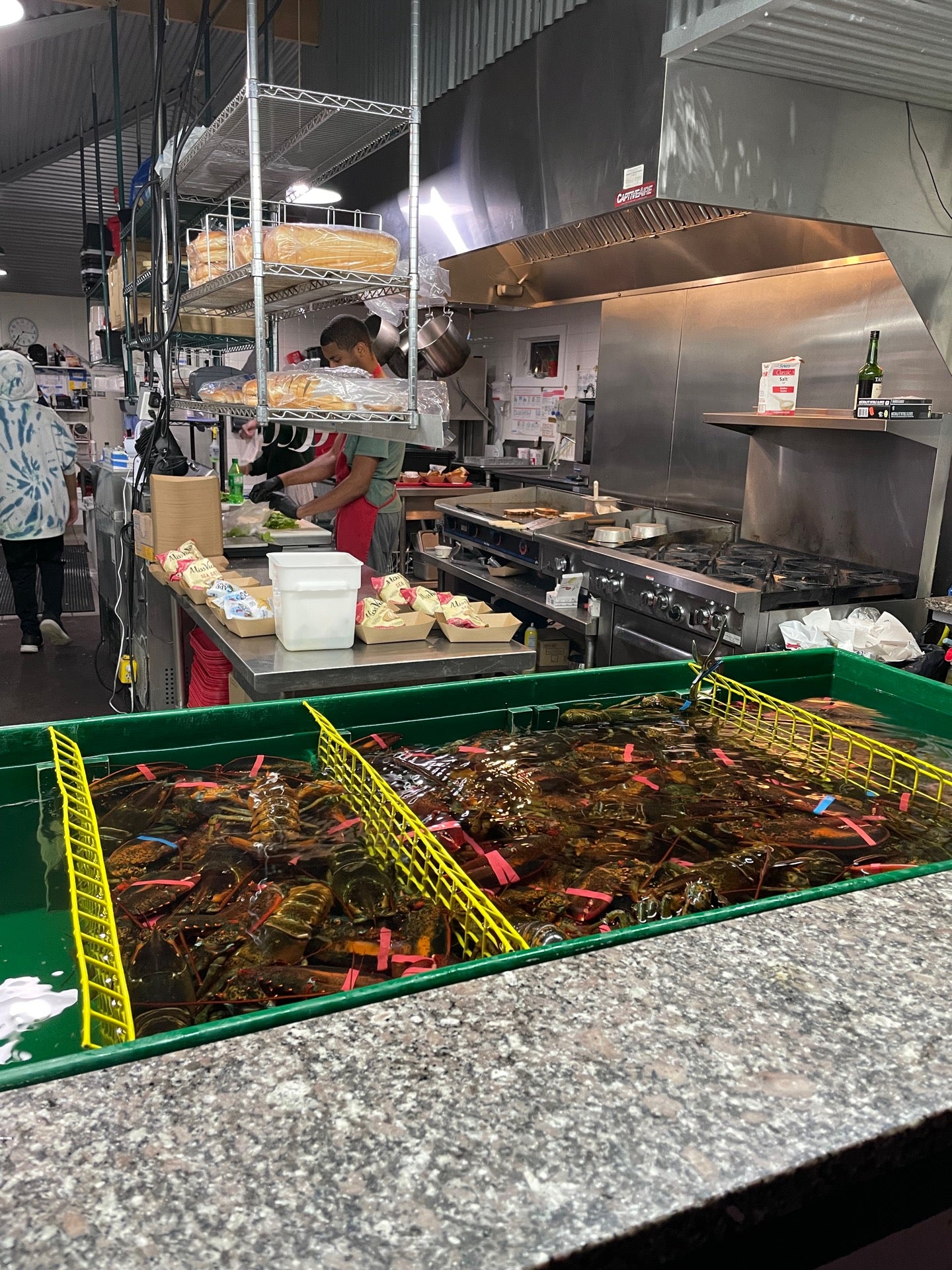 Maine Bar Harbor Thurston's Lobster Pound photo 7