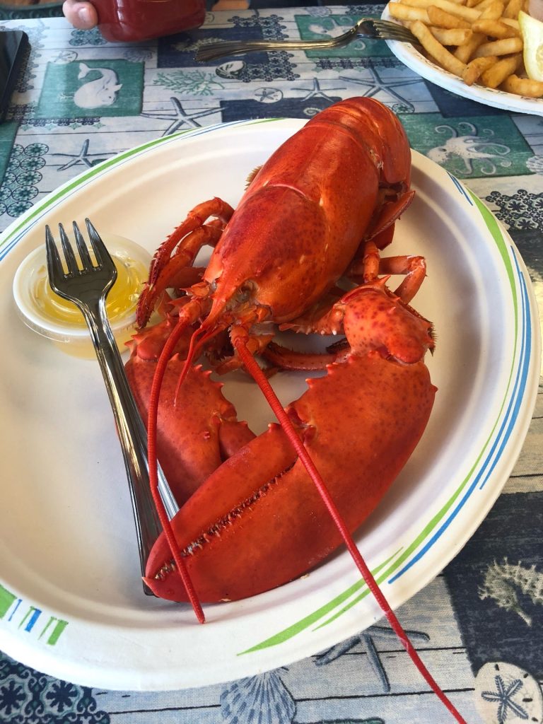 Massachusetts Plymouth Rock Bottom Seafood photo 3