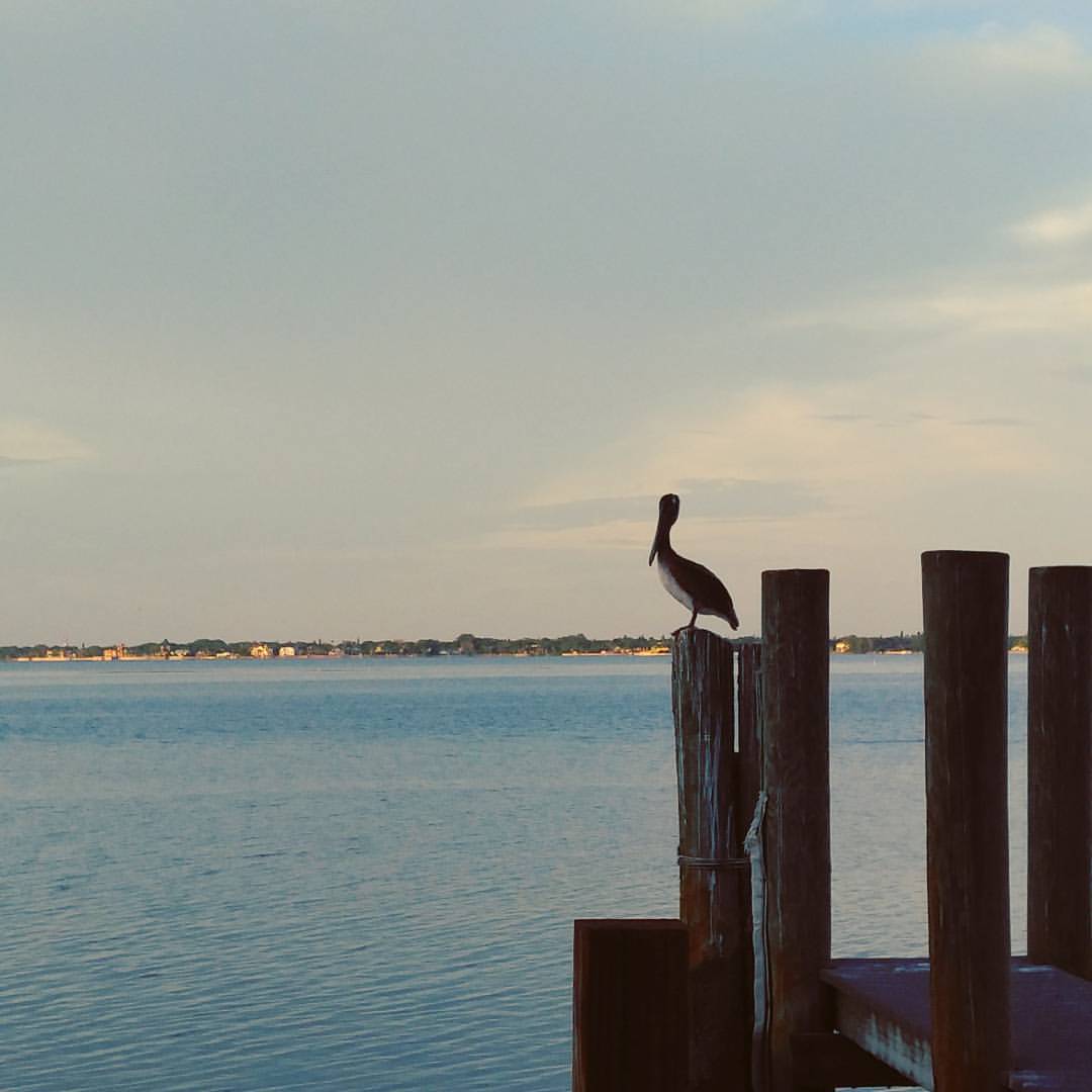 Florida Bradenton Dry Dock Waterfront Grill photo 7