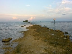 Florida Homestead Black Point Marinas photo 5