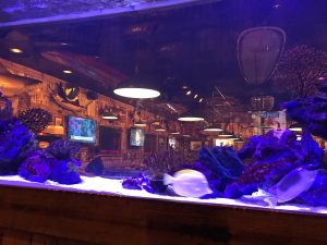 Florida Boca Raton Flanigan's Seafood Bar & Grill photo 7