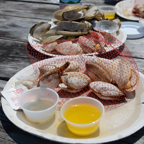 Massachusetts Falmouth Larsen's Fish Market photo 7