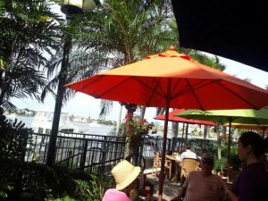 Florida Naples Mango's Dockside Bistro photo 5