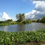 Louisiana Thibodaux Spahr's Seafood Restaurant photo 1