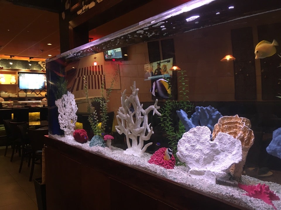 Massachusetts Framingham Fins Sushi & Grille photo 7