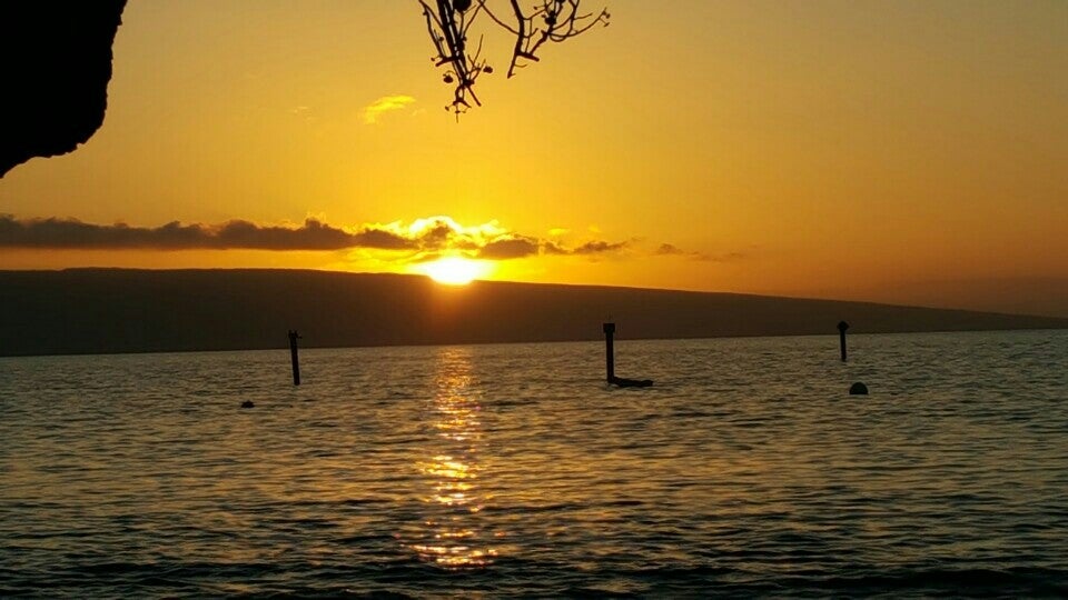 Hawaii Lahaina Frida's Beach House photo 5