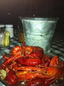 Florida Saint Augustine Salt Water Cowboys photo 7