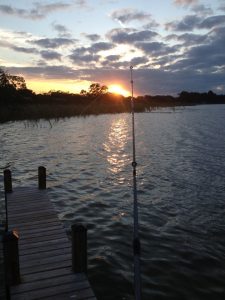 Florida Lakeland Harborside Restaurant photo 7