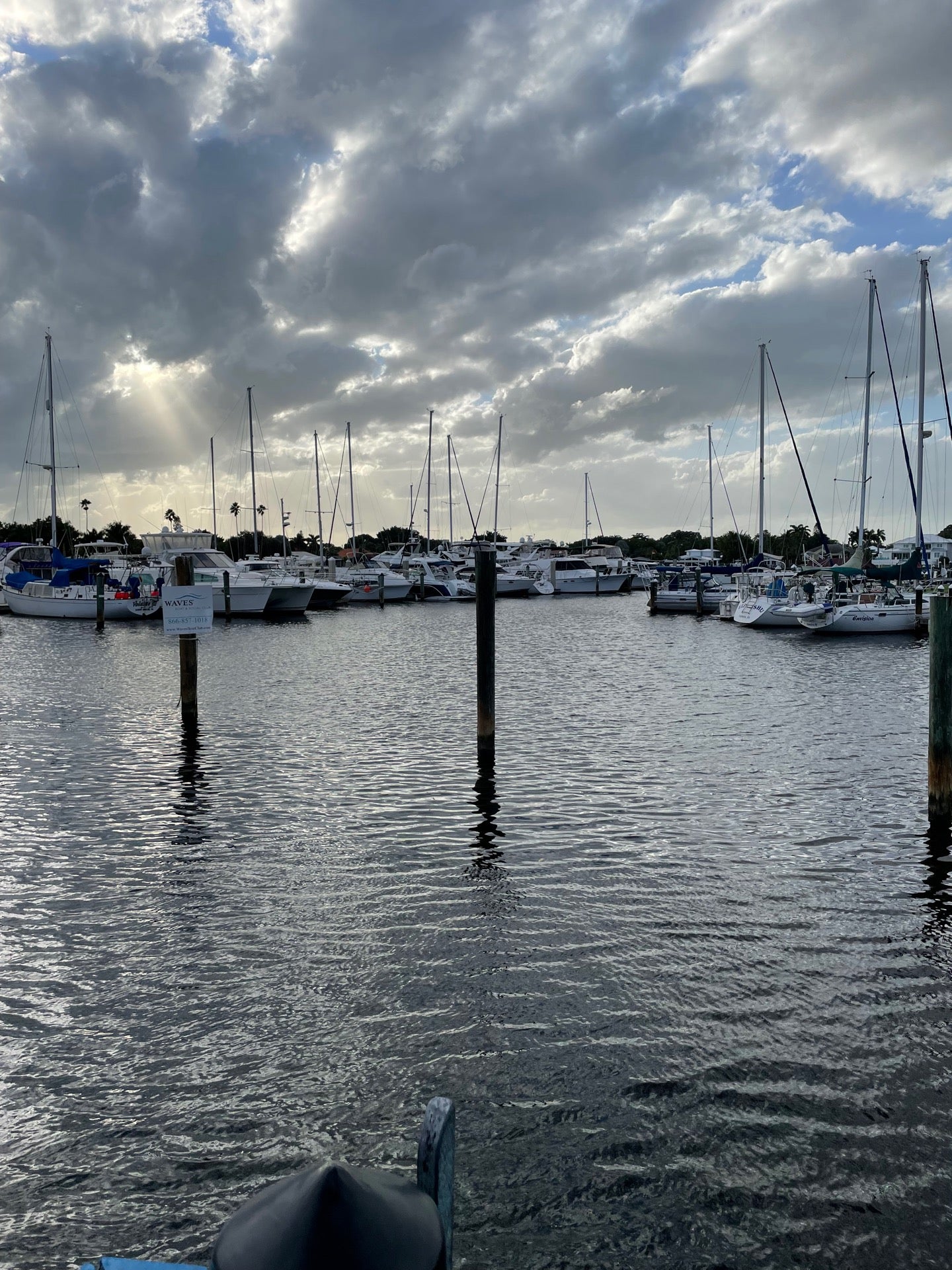 Florida Venice Dockside Waterfront Grill photo 5