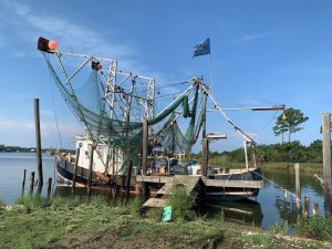 Alabama Foley Billy's Seafood photo 5