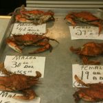 Maryland Baltimore Waverly Crabs photo 1