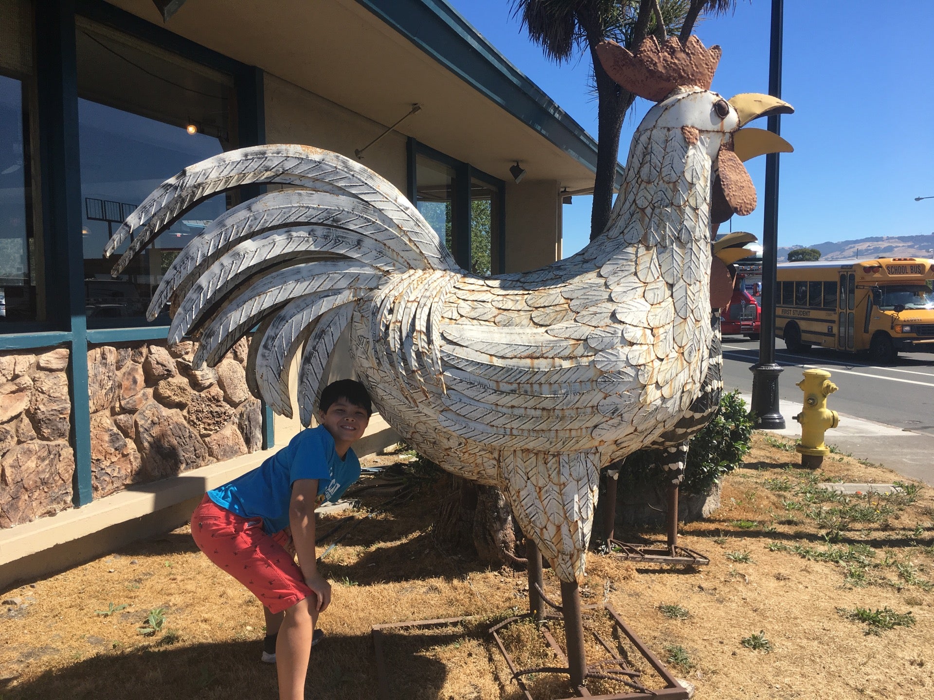 California Santa Rosa Pete's Henny Penny photo 7