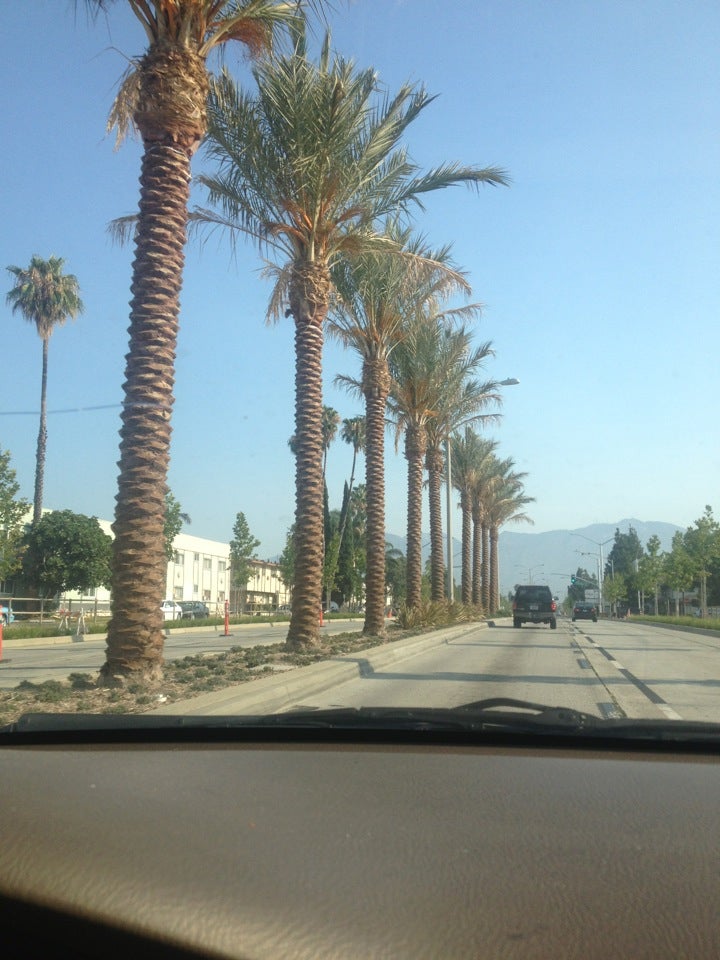 California Pasadena Sea Harbour Seafood Restaurant photo 7