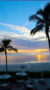 Florida Naples Baleen photo 7