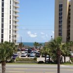 Alabama Orange Beach The Jellyfish photo 1